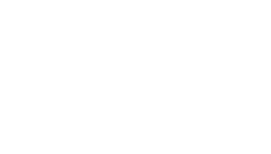 fundacion
